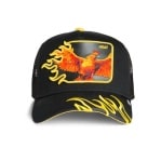 GOORIN BROS HEAT FLAMES