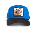 GOORIN BROS THE BEAST BEAR HAT