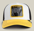 GOORIN BROS TRICOLOR SHEEP HAT
