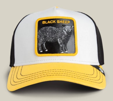 GOORIN BROS TRICOLOR SHEEP HAT