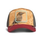 GOORIN BROS COSTA RICA THRUSH