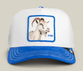 GOORIN BROS SUEDE GOAT HAT