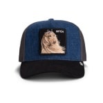 GOORIN BROS HOUND DAWG