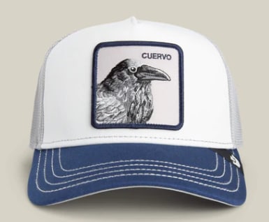 GOORIN BROS TRICOLOR RAVEN HAT