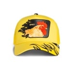 GOORIN BROS SPICY FLAMES