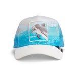 GOORIN BROS DOLPHIN IN THE ELEMENT