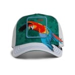 GOORIN BROS HONDURAS MACAW