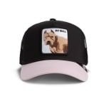 GOORIN BROS THE PIT BULL DOG